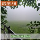 영아리공인중개사사무소 | 《제주오름》 물영아리오름 비오는날오름 물영아리생태공원