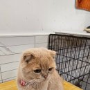 집사의 하루 일산점 이미지