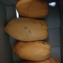 오행팜연수원 이미지