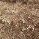 샬롬카센타 이미지