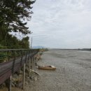 _나루터로2-10 이미지