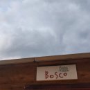 아지파파 이미지