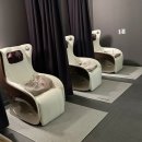 내몸살리는필라테스 | 핏티필라테스 광화문점에서 통증 해방! 내 몸 살리는 필라테스 후기