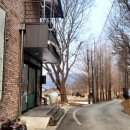 열명의농부채식당 | 충주 채식 뷔페 열명의 농부 후기