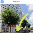 도마프라자약국 네이버블로그