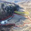 부용농장 이미지