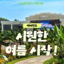 에버랜드 여름축제! 낮엔 루이후이 촌캉스, 밤엔 반딧불이 밤마실