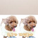가야산백운오토캠핑장 이미지