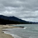 파티앤썸 해안풍경점 | [교토 북부 데이 투어] 아마노하시다테 &amp; 이네후나야 / 마이리얼트립