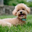 우리주유소 개방화장실 이미지