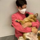 로제펫샵 Daum카페