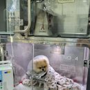 루원하이동물병원 이미지