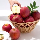 (주)더조은 이미지