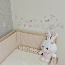 11260-2-37-16 | [임신일기] 37주차 마지막 진료 | 초산모 16시간 진통 후 유도분만 성공 후기