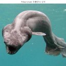 교대공인중개사사무소 이미지