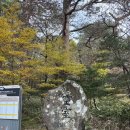 오름 | 구구의 일상 02 (윗세오름 다녀온 후기)