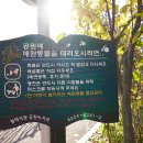 현신6길 이미지