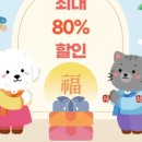 인천 강아지분양 고양이분양 미유펫 이미지