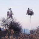 더벅머리 - 제주시 중앙로24길 13 | 더벅머리