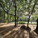 꽃우물공원 이미지