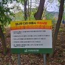 천년숲 | 경주 경북천년숲정원 후기 경주 가볼만한곳 추천