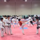 팀태권도 이미지