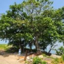 남면선구몽돌밭 이미지