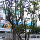 백산기념관 이미지