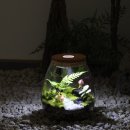 깊은시간 이미지