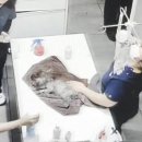 남부동물병원 이미지