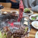 일품한우안동갈비