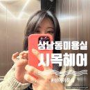 창원 상남동미용실 심야영업 시목헤어 레이어드컷과 뿌리펌 잘하는 곳