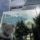 성진초등학교 | 데이식스 집 방문하다…(Day6.zip팝업 후기)