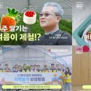 굽기