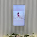 드림펫 동물병원 이미지