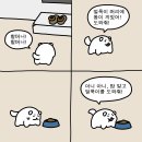 순진한 강아지 이미지