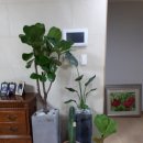 웅천부영5차 이미지