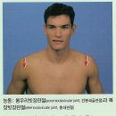 (검사)shoulder girdle rotatoric test-active,activepassive,passive 이미지