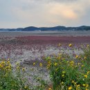 대부해솔길 4코스 이미지