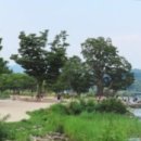 두물머리 이미지