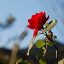 산사가는길 이미지