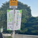 설 공연 | 분당 파크 콘서트 9월 7일 엔플라잉, 설 밴드 공연 후기