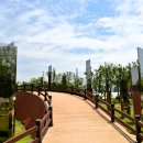 중앙공원 광장 이미지