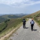 산티아고순례길 이미지