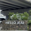 팔레스하우스 | 제주 시내 가성비 숙소 제주팔레스호텔 스탠다드 트윈 오션뷰 조식 주차