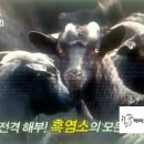 주월농장 이미지