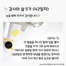 감사의 삶 5기 ＜42일차＞ (10/12) 이미지