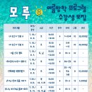 강릉시립중앙도서관 티스토리