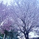 상서재로 이미지