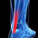 가양헬스클럽 이미지